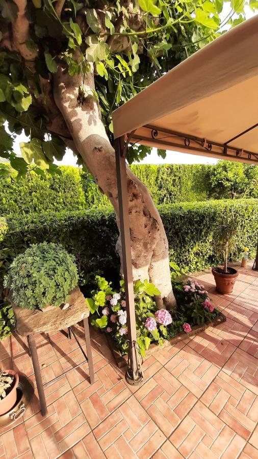 Casale Battaglini Bed & Breakfast Castelnuovo Cilento Ngoại thất bức ảnh
