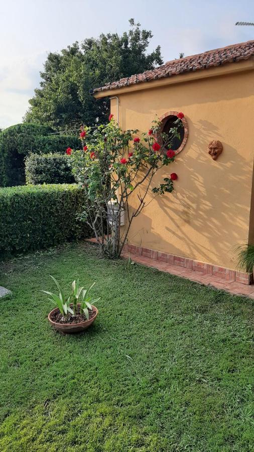 Casale Battaglini Bed & Breakfast Castelnuovo Cilento Ngoại thất bức ảnh